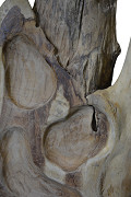 BA5-B-Natural-1