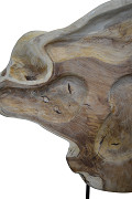BA5-D-Natural-1