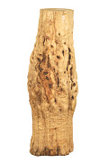 PD150-100-Other-0