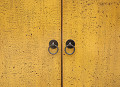 PG1940RC-YE-Yellow-4