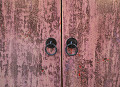 PG1944RC-PK-Pink-4