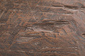 PG1963RC-BR-Brown-2