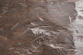 PG1966RC-BR-Brown-3