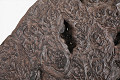 PG1992RC-BR-Brown-2