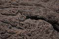PG1994RC-BR-Brown-3