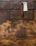 PM3392-Brown-3