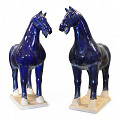 PM3750RP-DBL-Dark-blue-0