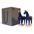PM3750RP-DBL-Dark-blue-2