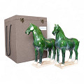 PM3750RP-GR-Green-2