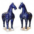 PM3751RP-DBL-Dark-blue-0