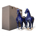 PM3751RP-DBL-Dark-blue-2