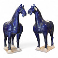 PM3752RP-DBL-Dark-blue-0
