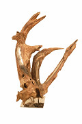 RB542-100-Brown-0