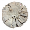 PP1283UC-B-Natural-1