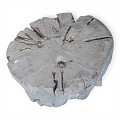 PP1283UC-B-Natural-2