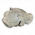 PP1283UC-C-Natural-1