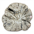 PP1283UC-D-Natural-1