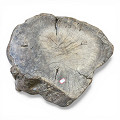 PP1284UC-D-Natural-1