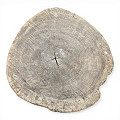 PP1286UC-A-Natural-1